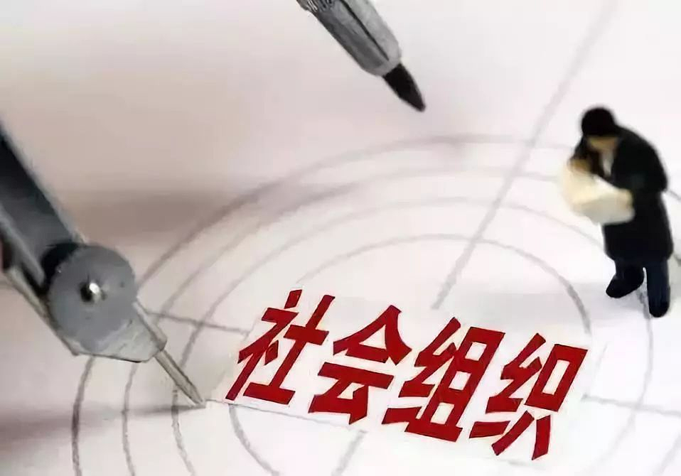 民政部印发《国际性社会组织章程示范文本（试行）》