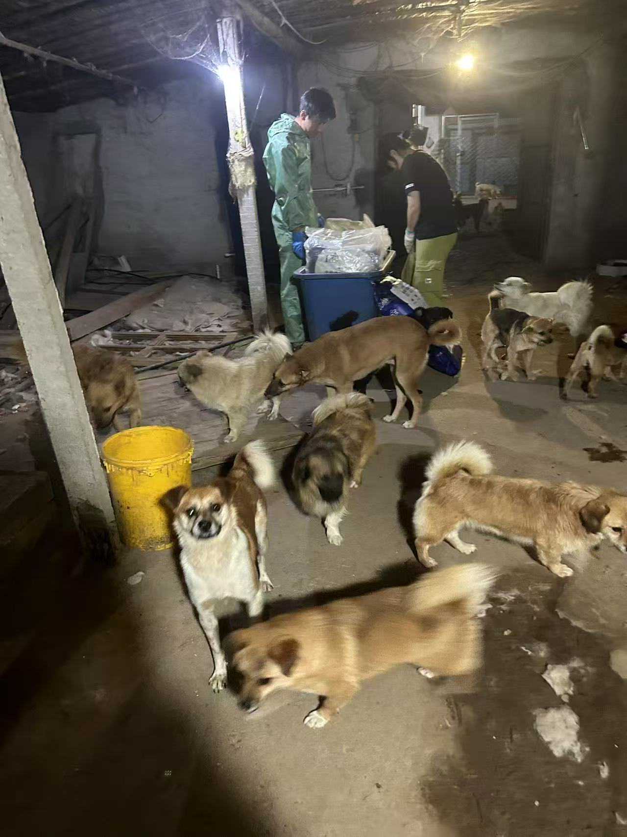 微信图片_20260112161418